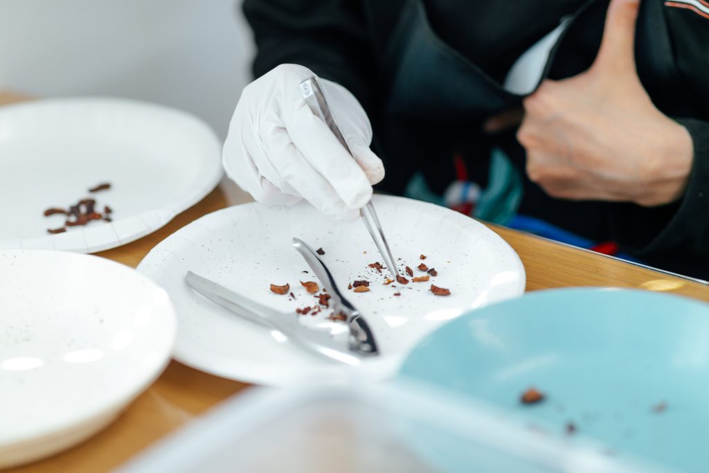 チョコレートを製造する様子